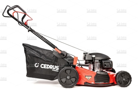 Kosiarka Cedrus Premium CEDLP53S-H