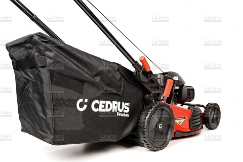 Kosiarka Cedrus Premium CEDLP53S-H