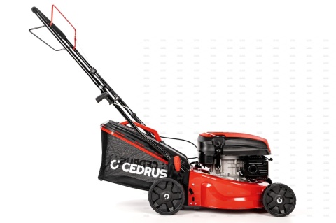 Kosiarka Cedrus CEDKS42S z napędem