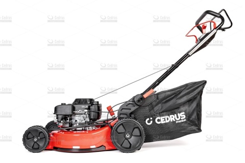 Kosiarka Cedrus Premium CEDLP53S-L