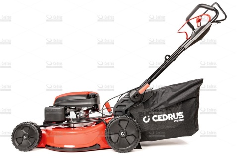 Kosiarka Cedrus Premium CEDLP53S
