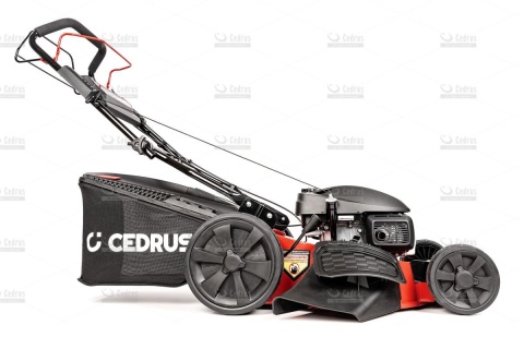 Kosiarka Cedrus z napędem CEDKS53S-H AL