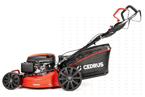 Kosiarka Cedurs CEDKS53SV-E z napędem