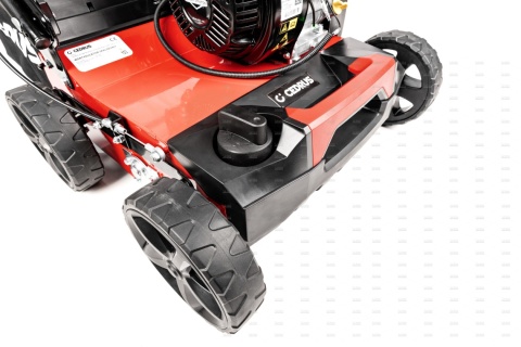 Wertykulator Cedrus 40cm 2w1 B&S CR950
