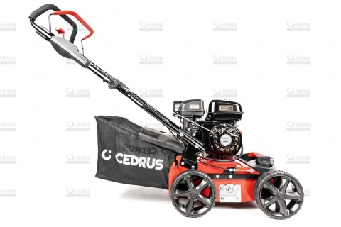 Wertykulator spalinowy Cedrus WR01 2w1